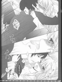 [Mitsu-iro Syrup (Kashou Uta)] Daikirai (Durarara!!)