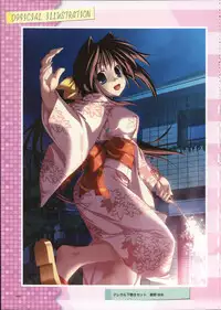 Primitive Link Visual Fanbook