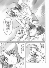 (C61) [Knights (Kishi Nisen)] Final Journey (Sentimental Graffiti)