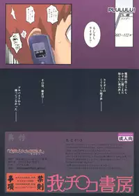 (C76) [Gachinko Shobou (Koban)] Netorareta Hime Kihei (Fate/stay night)