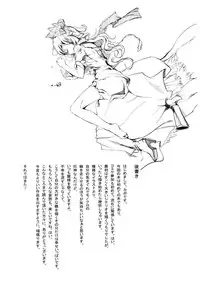 (Reitaisai SP2) [Gyokotsu Kouzou (Kapo)] Borderline (Touhou Project) [English] [FUKE]