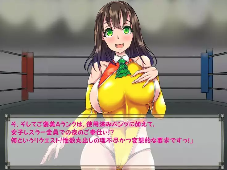 ドMプロレス2 画像集