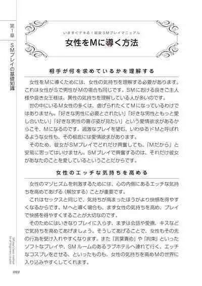 いますぐデキる 図説SMプレイマニュアル
