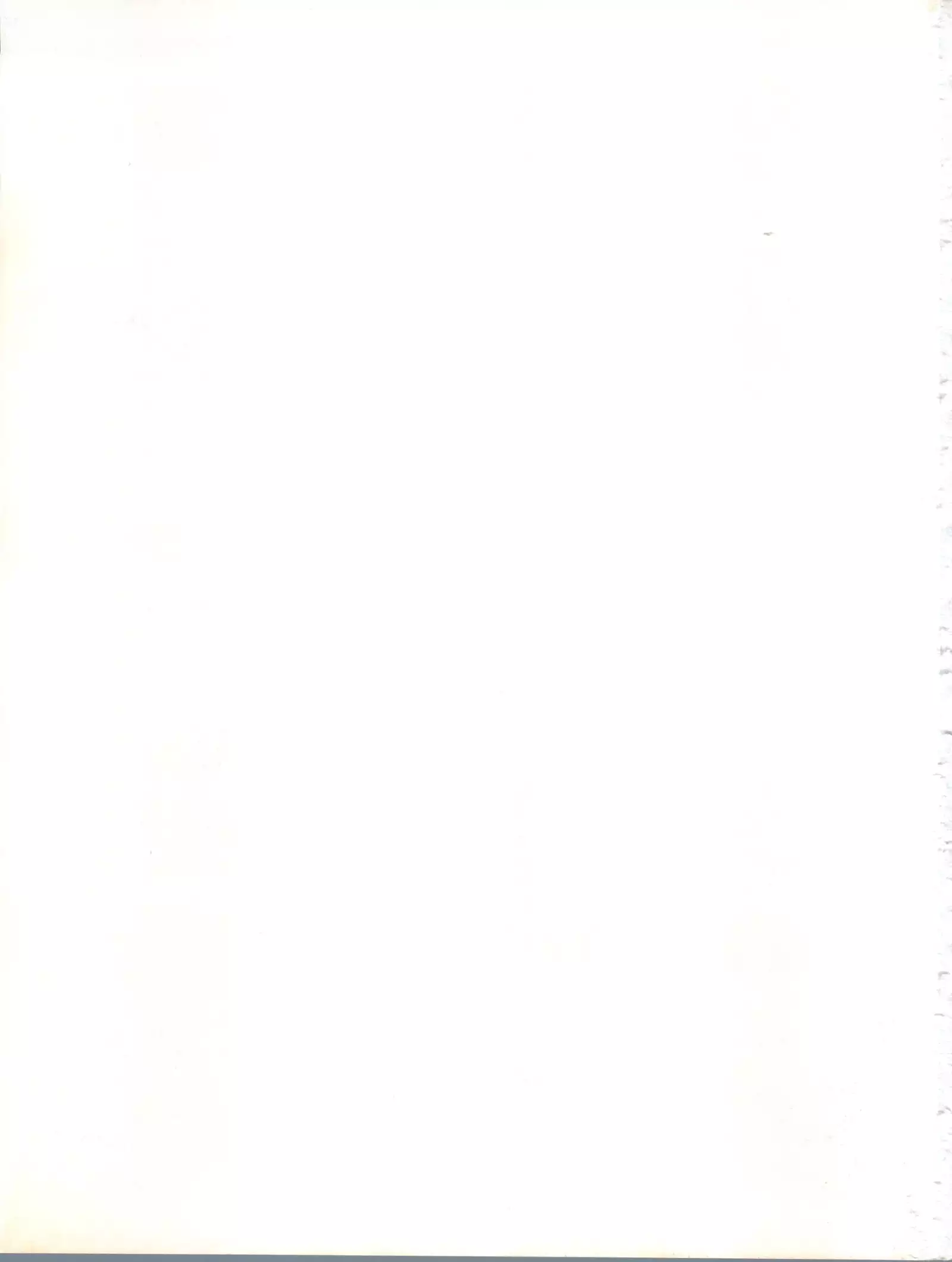 Bikei Kotsu Notsu bo