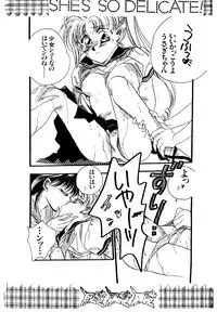 She's So Delicate [Sailor Moon]