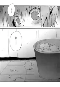 (C89) [Syounen Heroine (Tamaki Yui, Midou Ren)] Chiisana Taiku (Star Ocean 2)