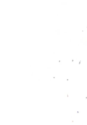 Yuuka-Chirabatta Daiyoukai no Kakera-