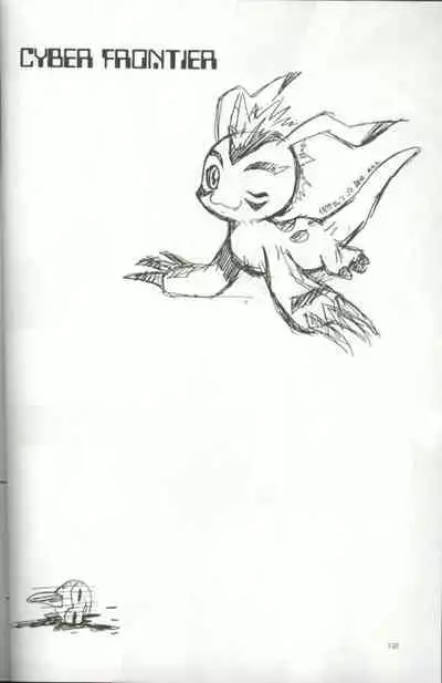 Cyber Frontier