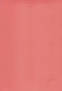 [D'ERLANGER (Yamazaki Show)] Enrei Mai Body (The King of Fighters)