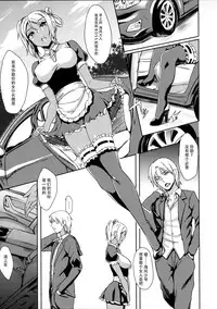 (C88) [IndexACG (Puyocha)] INDEXGIRLS 04 Sakura Chiru [Chinese] [脸肿汉化组]