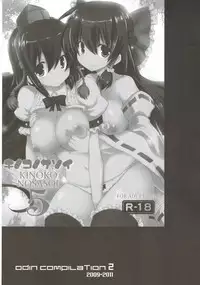 [odin (Kurokawa IZUMI)] odin Soushuuhen 2 (Touhou Project)