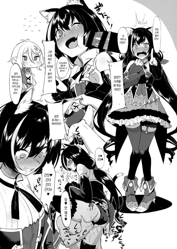 Princess to Connect Shitaitt!