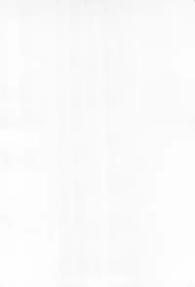 Daijoubu!! Ryouomoi da yo | It's Okay!! Our Love Is Mutual