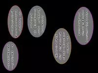 [Fujimiya Yahiro] Bakunyuu Chijo-san to Kokute Mijikai Go-kakan