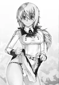 (C81) [Kouchaya (Ootsuka Kotora)] Love Slave (Infinite Stratos)