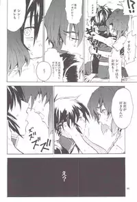 [NEO-de (Natsuzaka)] Tadashii Hito (Gundam Seed Destiny)