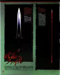 Fate/stay night Premium FanBook