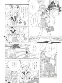 (C45) [Naniwa-ya (Various)] NANIWA-YA FINAL DRESS UP! (Various)