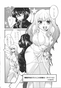 (C74) [Spirit Guide] songstress tally ho!! (Macross Frontier)