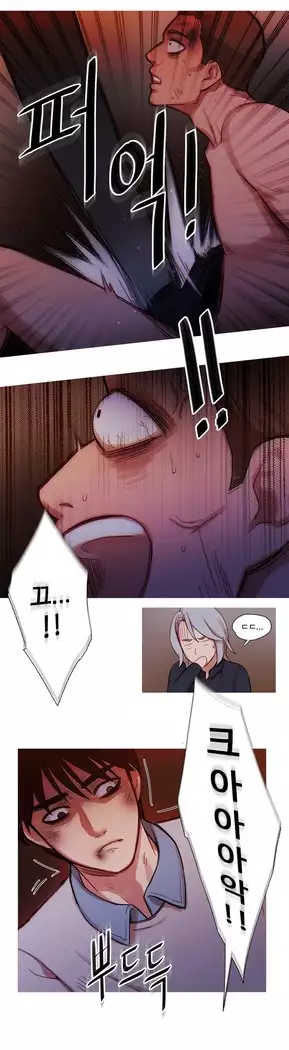 Scandal of the Witch Ch.0-28