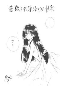 [Sailor Q2] Sailor Q2 Fuckin' Works (Sailormoon)