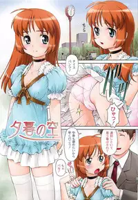 [Fuji Shinobu] Koakumalita