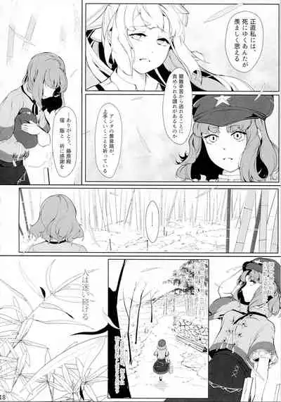 (C93) [Flying Bear (Hiyou)] Miyako Hyakkei Chukan (Touhou Project)