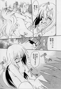 [Miyashita Kei] HAPPINESS DAYS