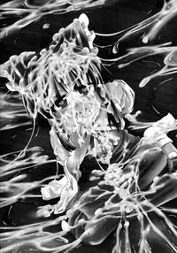 (C84) [Happiness Milk (Obyaa)] Nikuyokugami Gyoushin - I am semen addict - (Touhou Project)