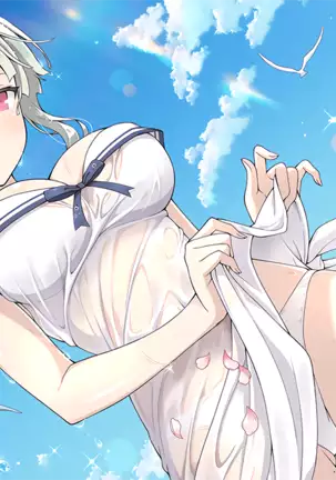 Master Ninja Senran Kagura NEW LINK - Swimsuits