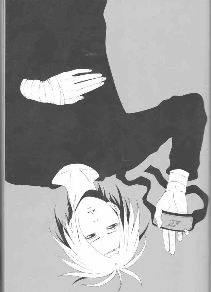 Dream Passport ongoing