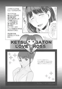 (C78) [Toluene Ittokan (Pierre Norano)] KETSU!MEGATON LOVE CROSS Nene (Love Plus)