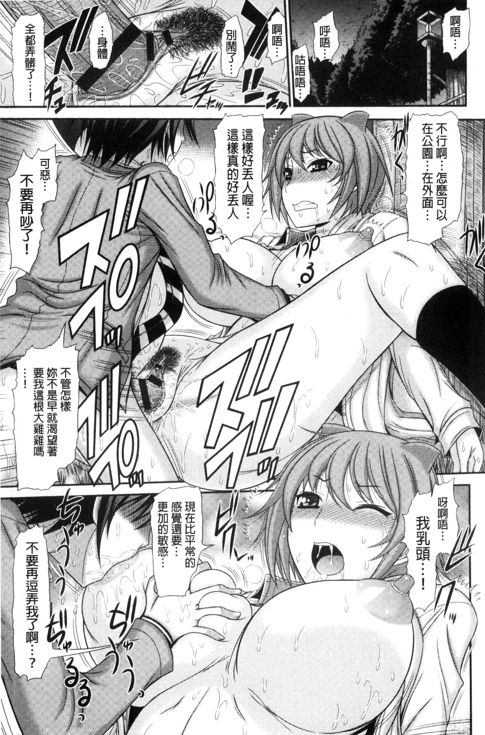 Shimai Seikou Inshuu