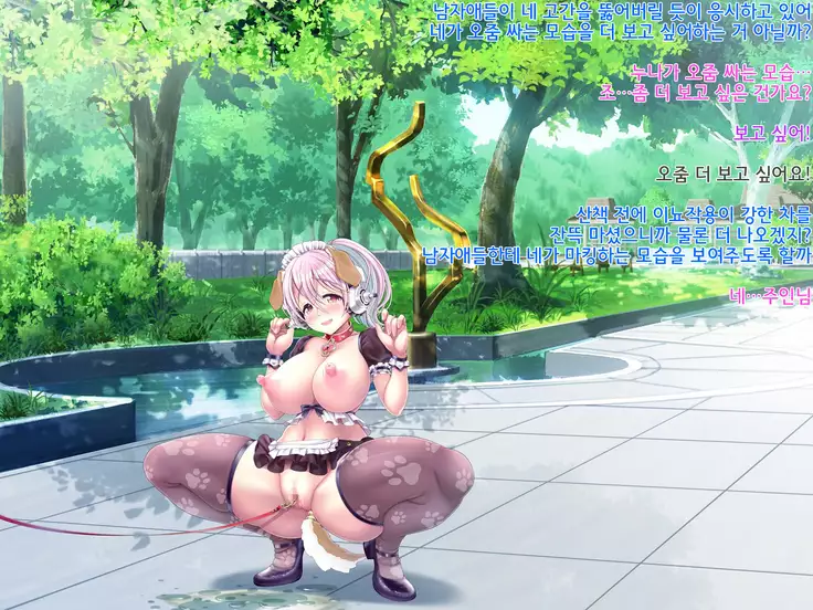 Super Sonico Soushuuhen Tsuika Episode Kouen Sanpo Hen
