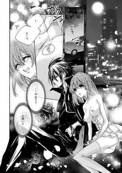 鬼畜兄弟の悶絶調教～私はいいなり奴隷～