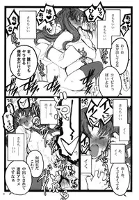 (COMIC1☆4) [Keumaya (Inoue Junichi)] Walpurgisnacht 4 (Fate / stay night)