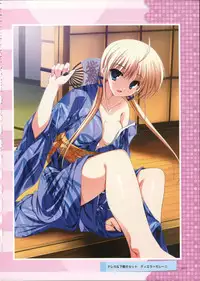 Primitive Link Visual Fanbook