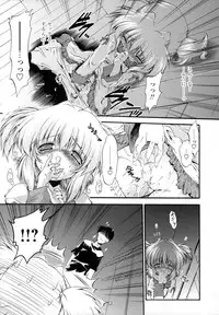 [Noraneko Nagaya] Horoama Omocha Hako