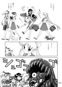 (C58) [BLACK DOG (Kuroinu Juu)] GOLD EXPERIENCE (Sailor Moon) [2nd Edition]