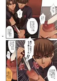 [Sugartiger] NEW OR OLD (Fate/Zero)