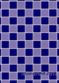 (C94) [telomereNA (Gustav)] Koyoi Gohoushi ni Mairimasu