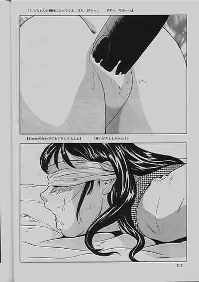 (C54) [Momonga Club (Hayashibara Hikari)] Momo-chan G-nensei