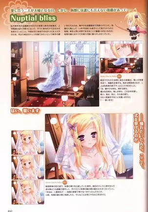 Tayutama -It's happy days- Visual Fanbook