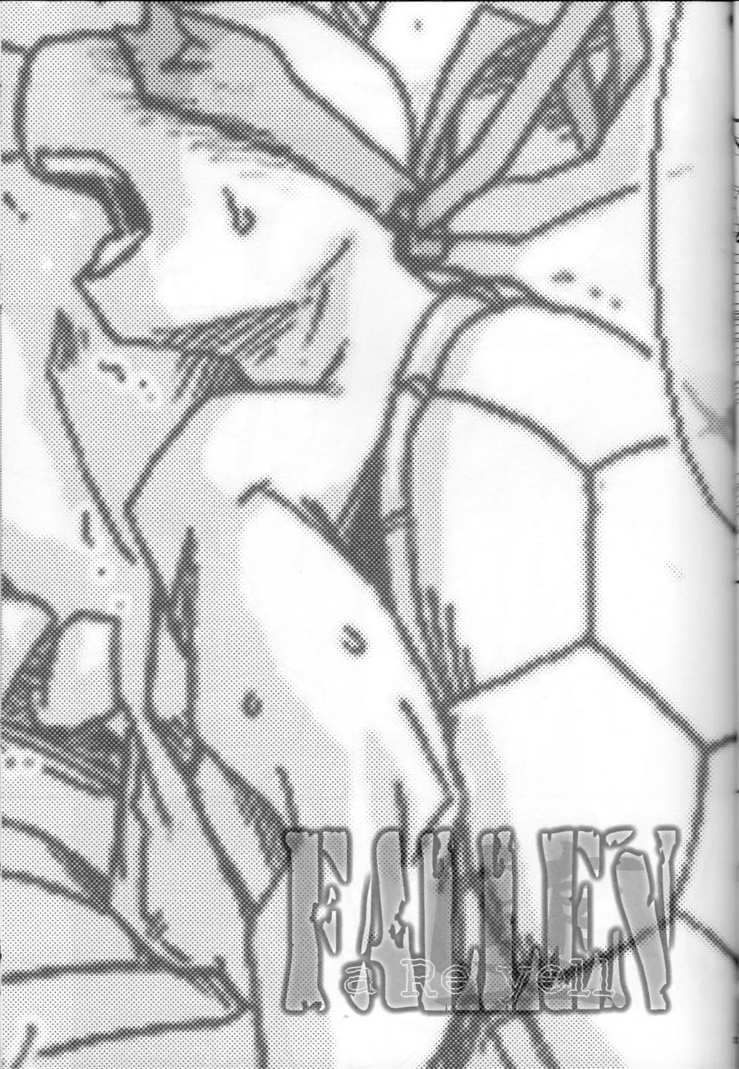FALLEN - Raph vs Leo - Teenage Mutant Ninja Turtles, TMNT doujinshi