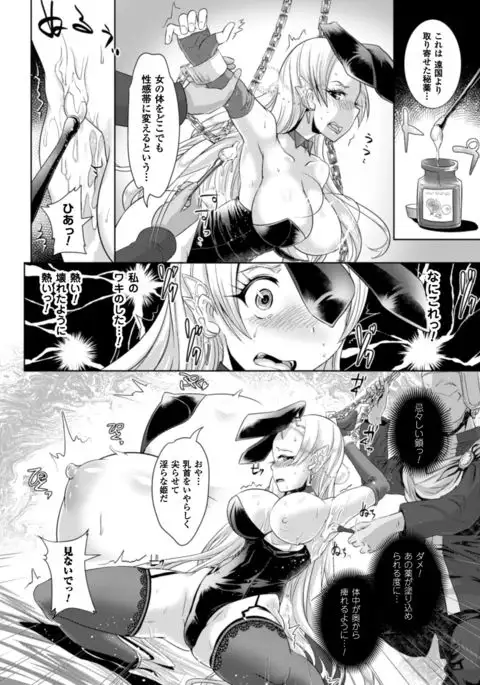 2D Comic Magazine Waki Feti Bunny Girl Vol. 2