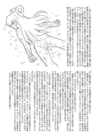 [Tyoujiya Zantou (Matsumoto Kenji)] Messhi yuku Kibou no Hikari (Yes! Precure 5)