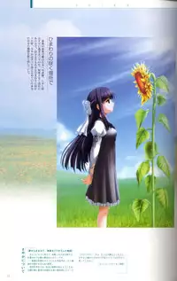 SUIKA Official Visual Fan Book