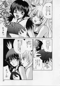 [Makino Kenji] D-CHASE