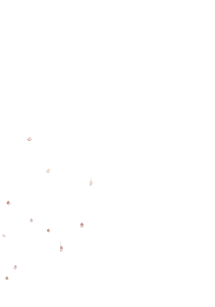 Yuuka-Chirabatta Daiyoukai no Kakera-