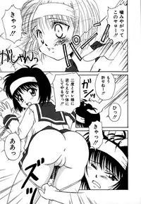 [Donkey] Chocotto Ne